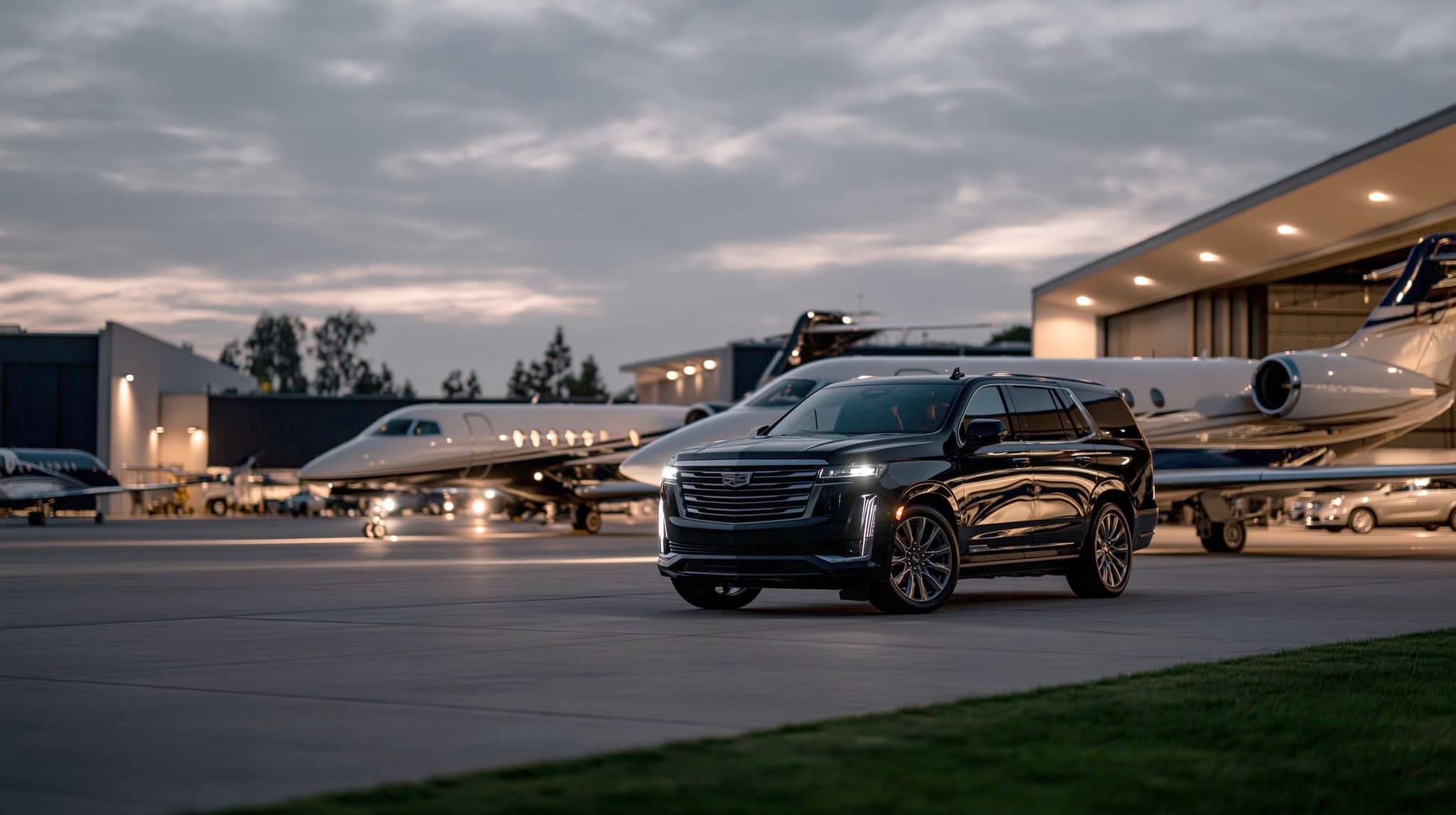 Three operators, one field — PB Limo