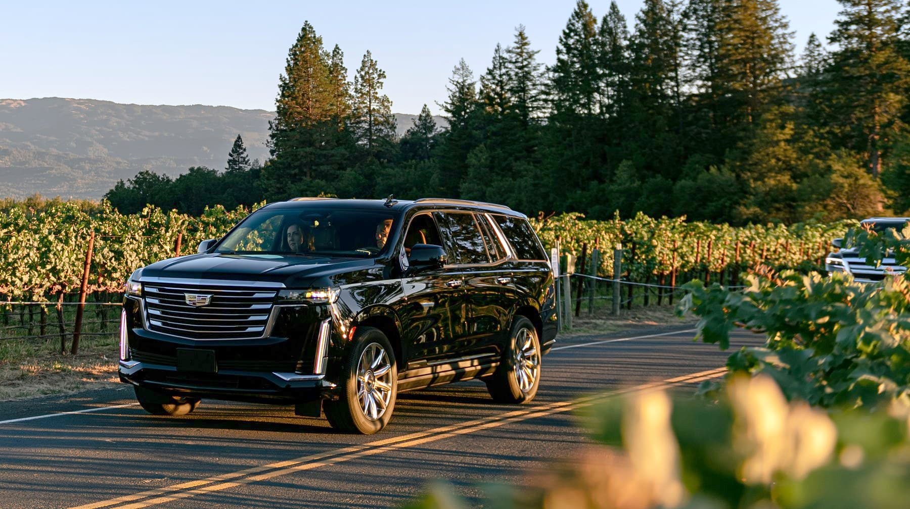 Wine tours — PB Limo chauffeured car service
